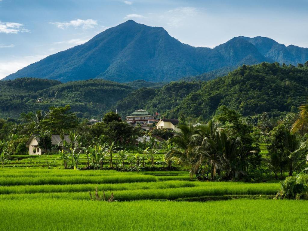 The Mirah Hotel Bogor Luaran gambar